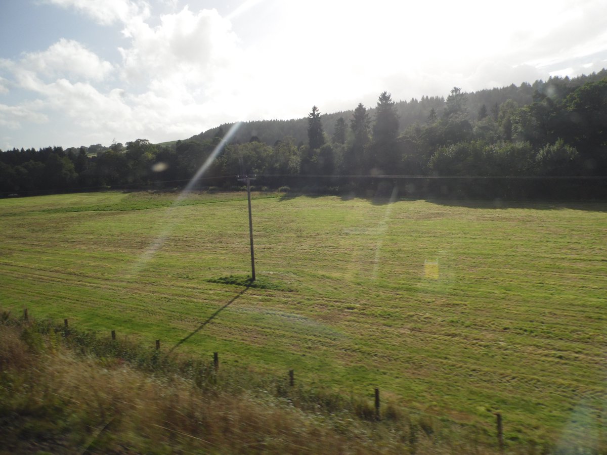 Iceview Nine tweet media