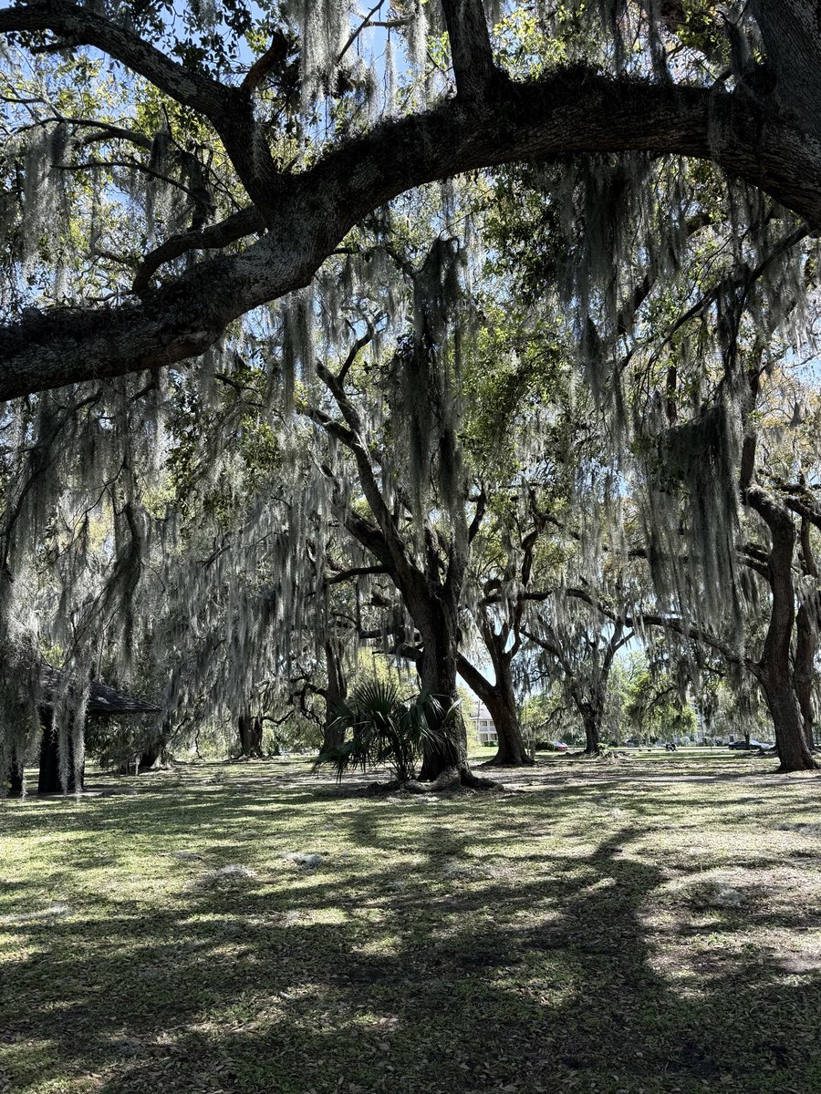 𝔰𝔠𝔥𝔪𝔢𝔷𝔦 tweet media