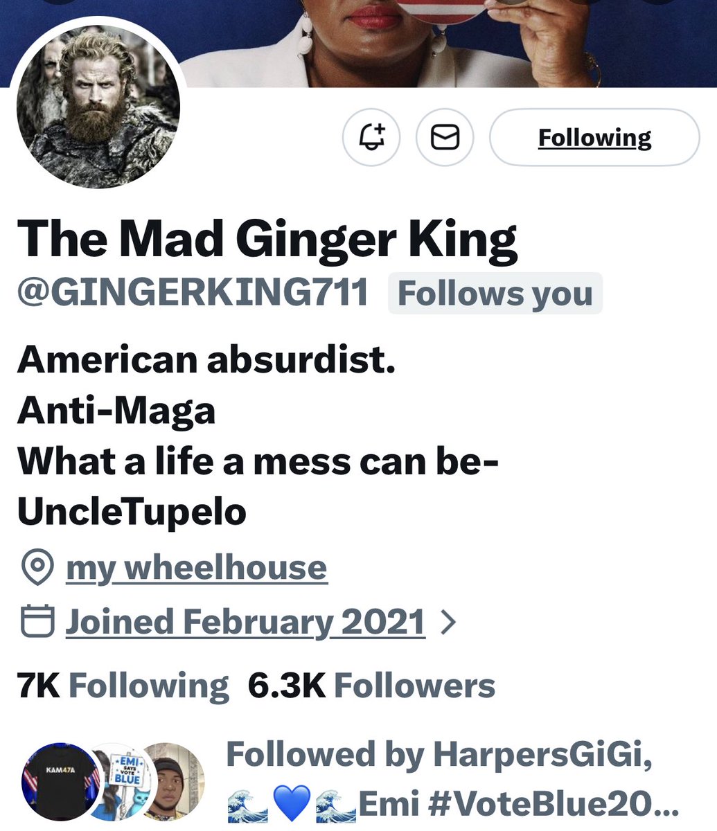 Turquoise Cat tweet media