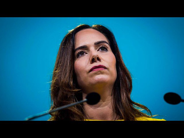 Le Goldenretriever tweet media