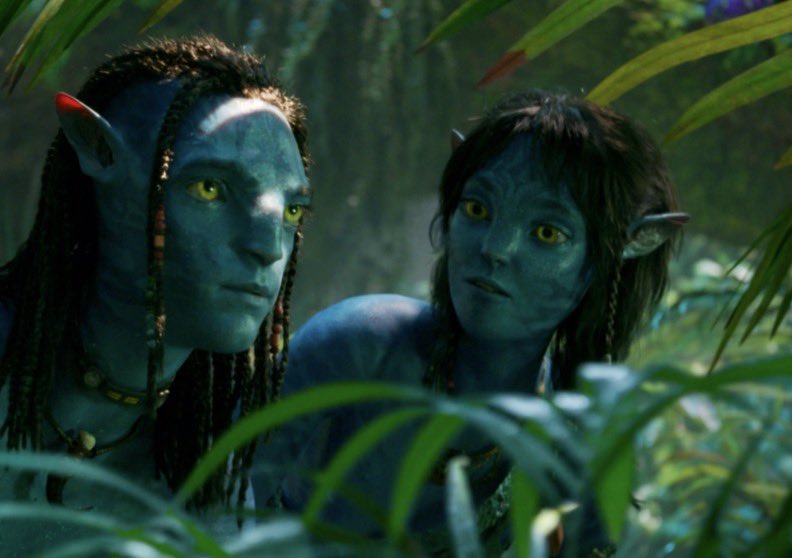 Lari 𖧷 tweet media