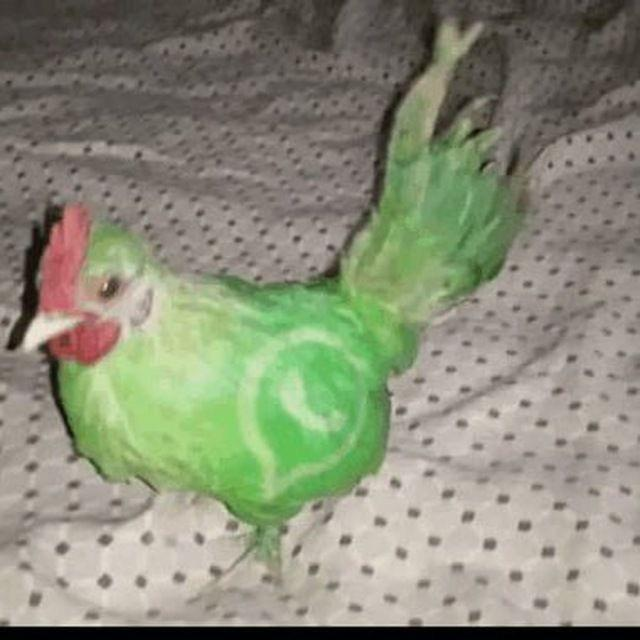 Tubbymcwubby tweet media