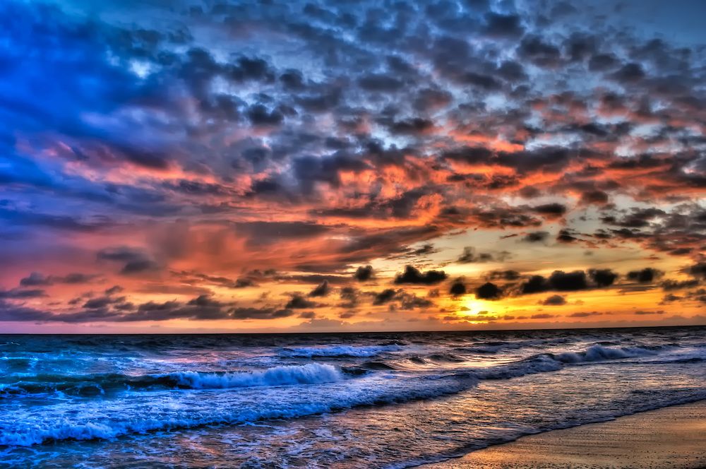 Florida Nature Photography tweet media