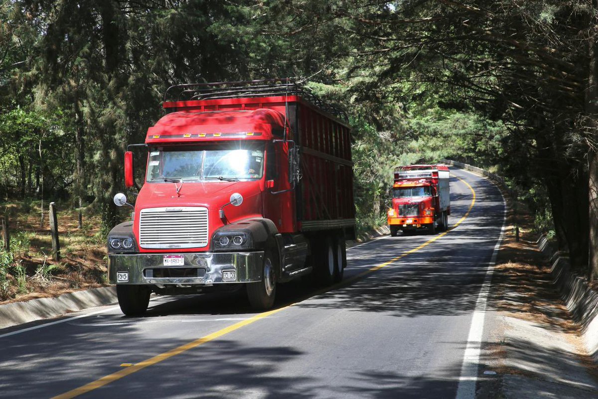 Alfredo Ramírez Bedolla tweet media