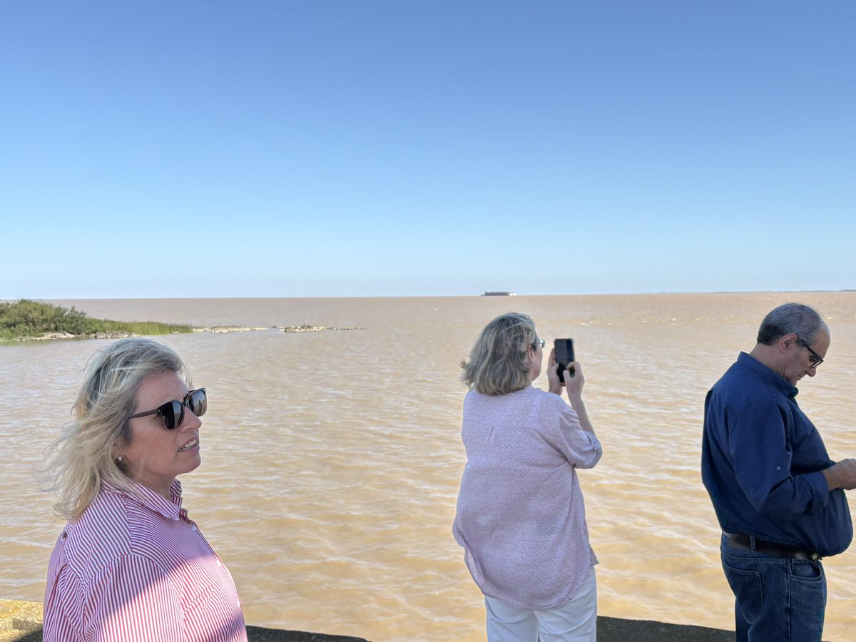 Pedro Bordaberry tweet media