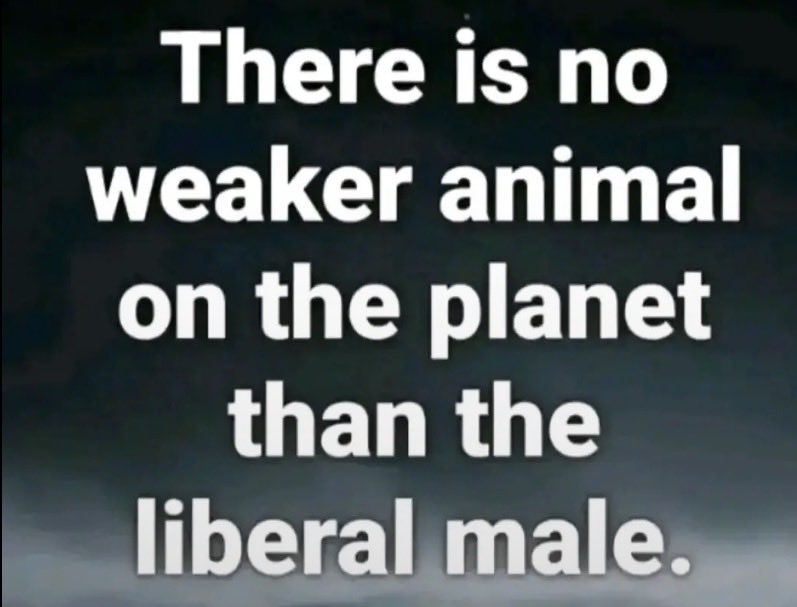 Richard Gray tweet media