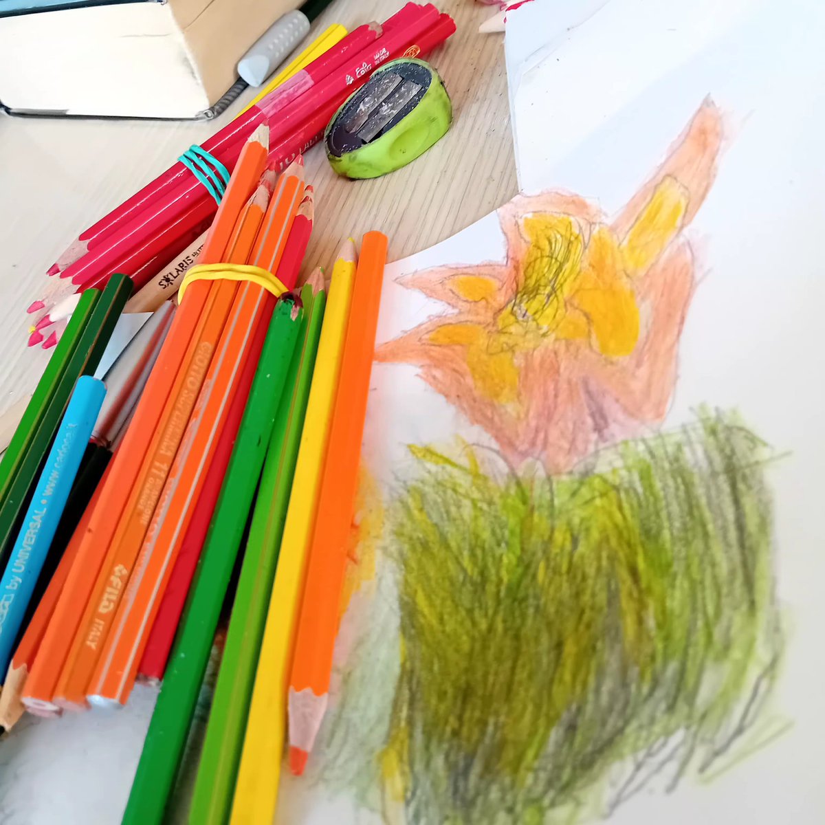 marina gandi tweet media