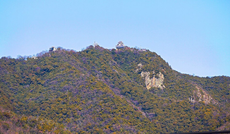 ゆぱ @XRP tweet media