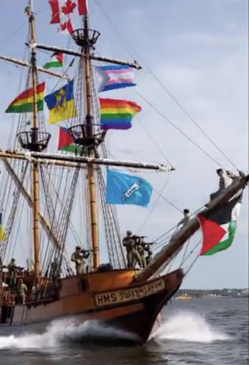 Commonsenseprevails tweet media