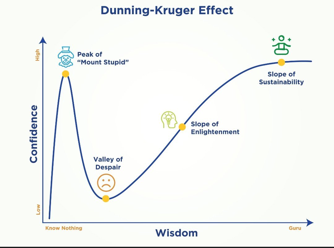 kimberley d tweet media