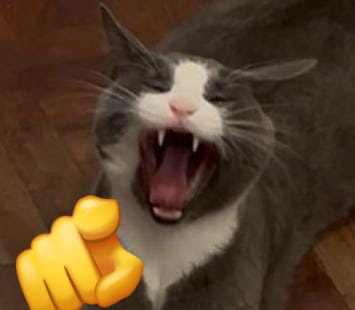 emily 🌷 tweet media