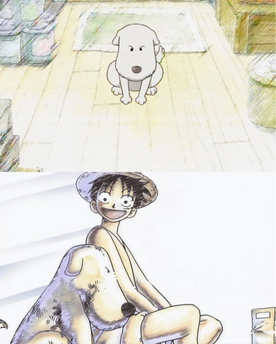 One Piece Perfect Shots tweet media