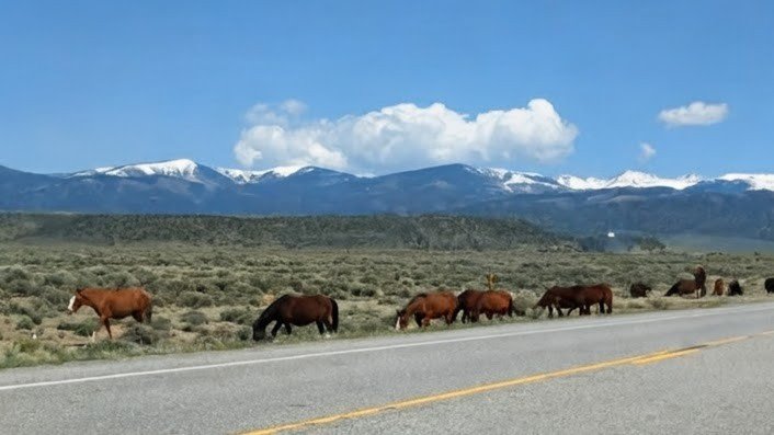 Loralee Logan 🌻🌻🌻 tweet media