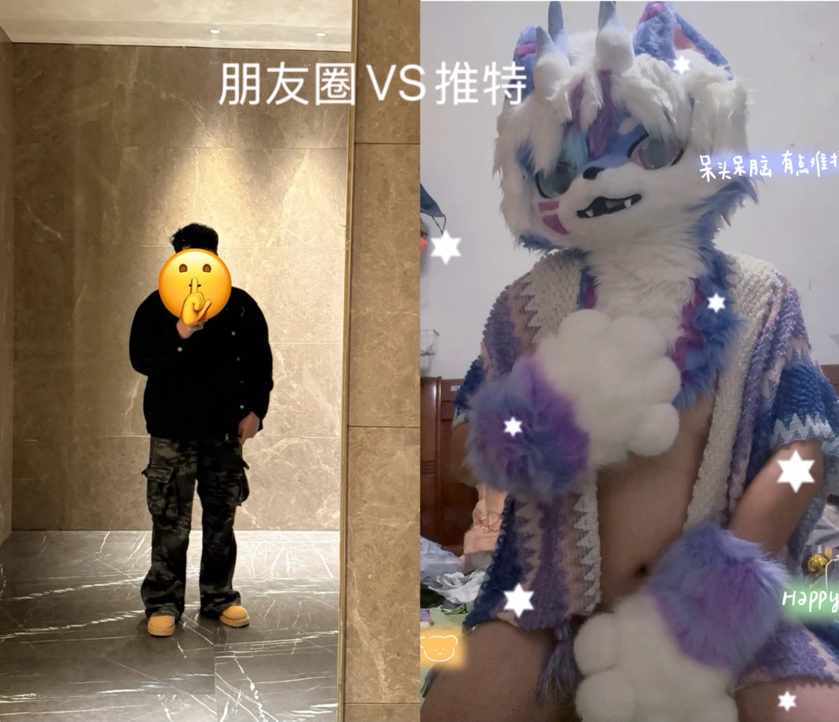 一只大狸 tweet media