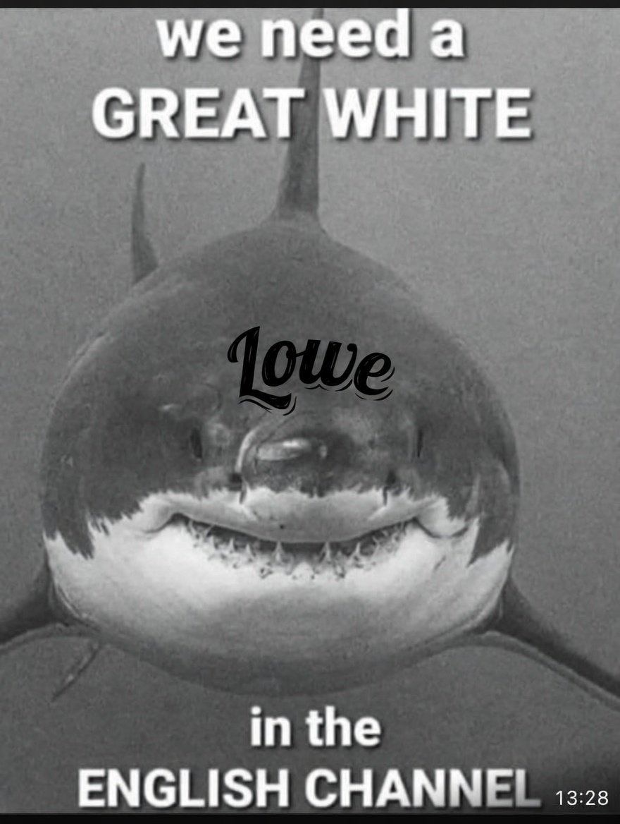 Britishfish tweet media