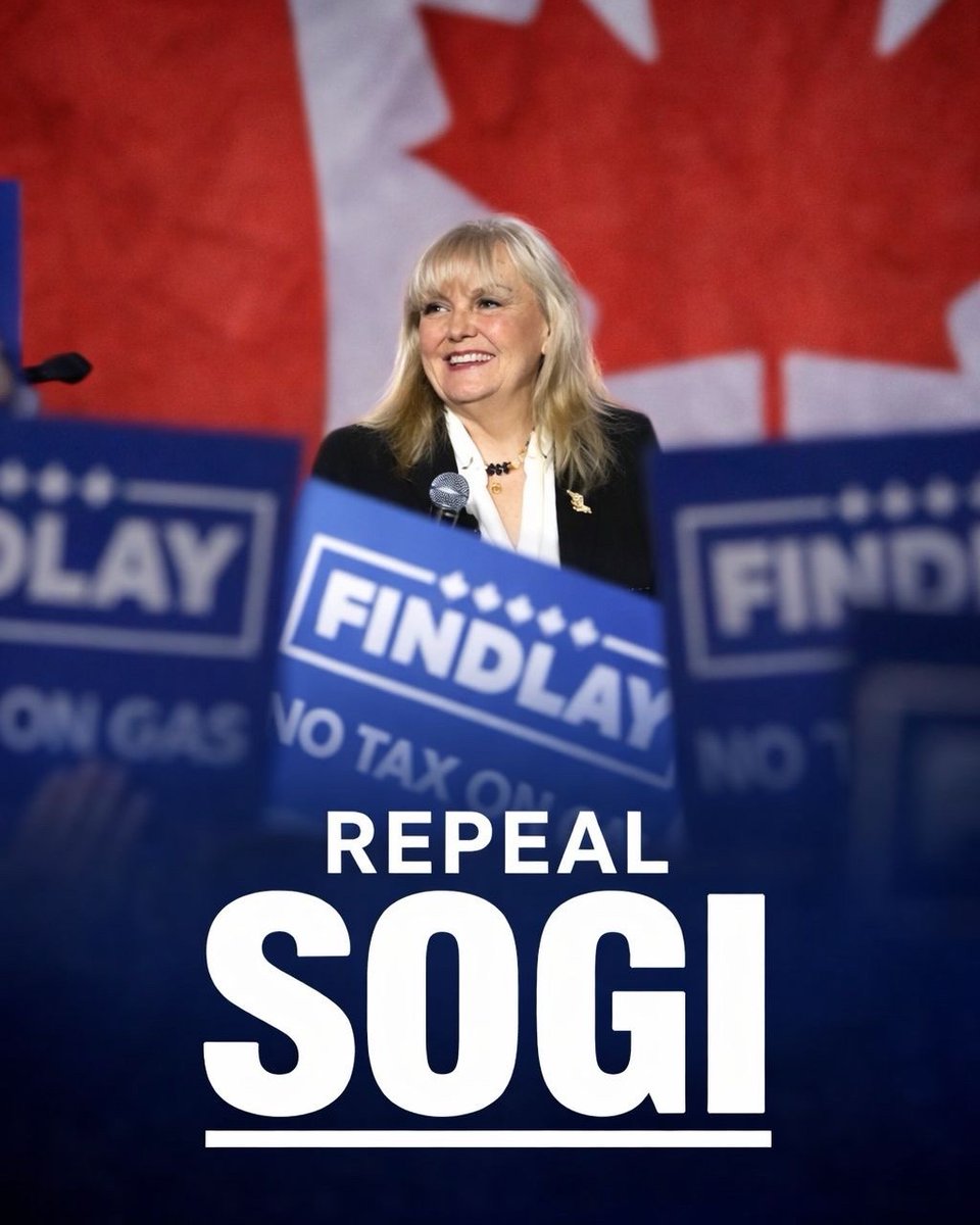 Kerry-Lynne Findlay tweet media