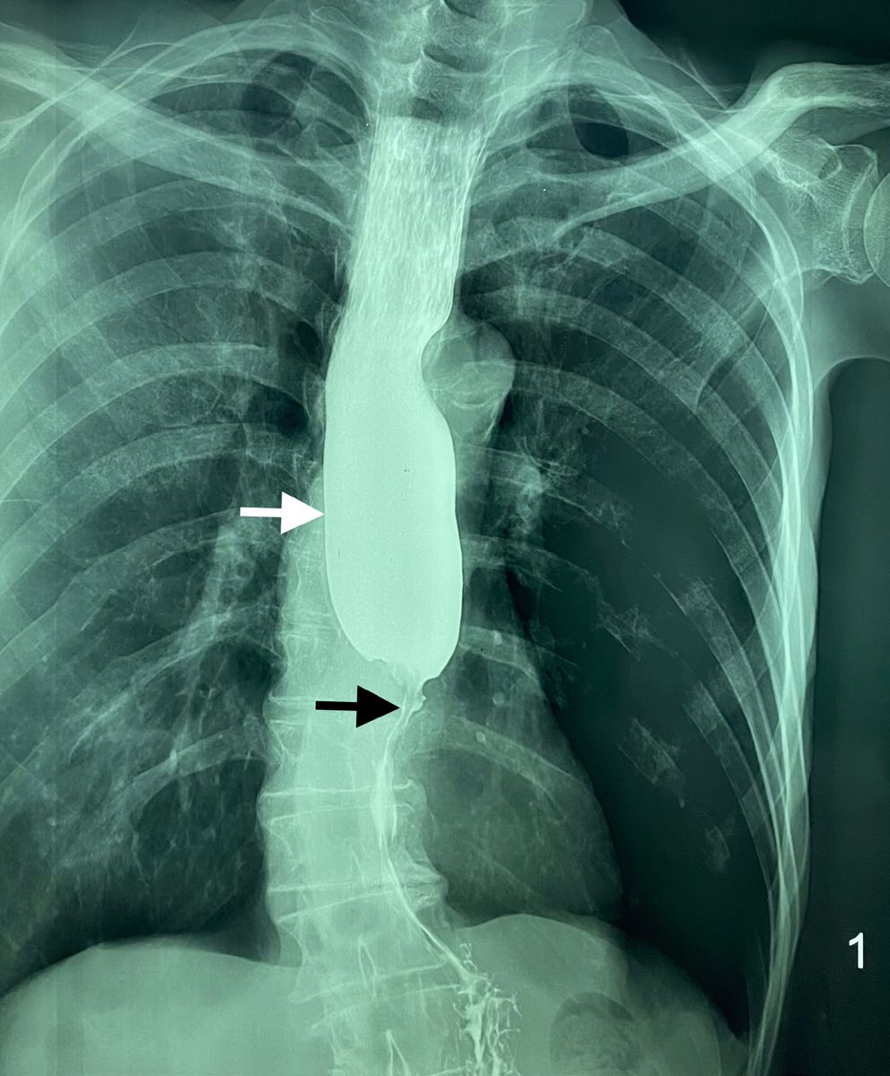 Dr Ihab Suliman tweet media