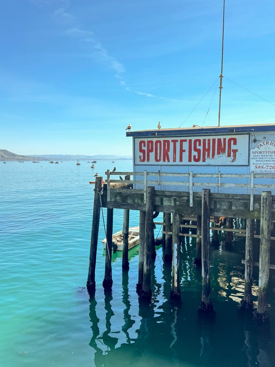 Ryan Warner tweet media