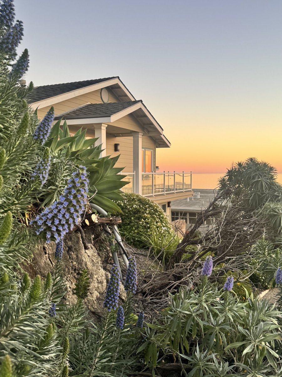 Ryan Warner tweet media