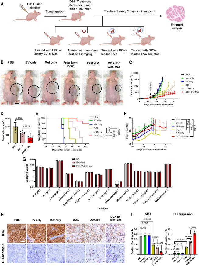 Waggoner Lab tweet media