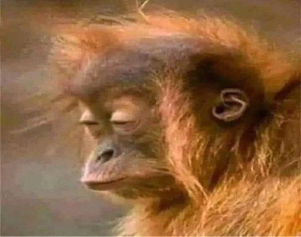 يوليوس 🇦🇷 tweet media