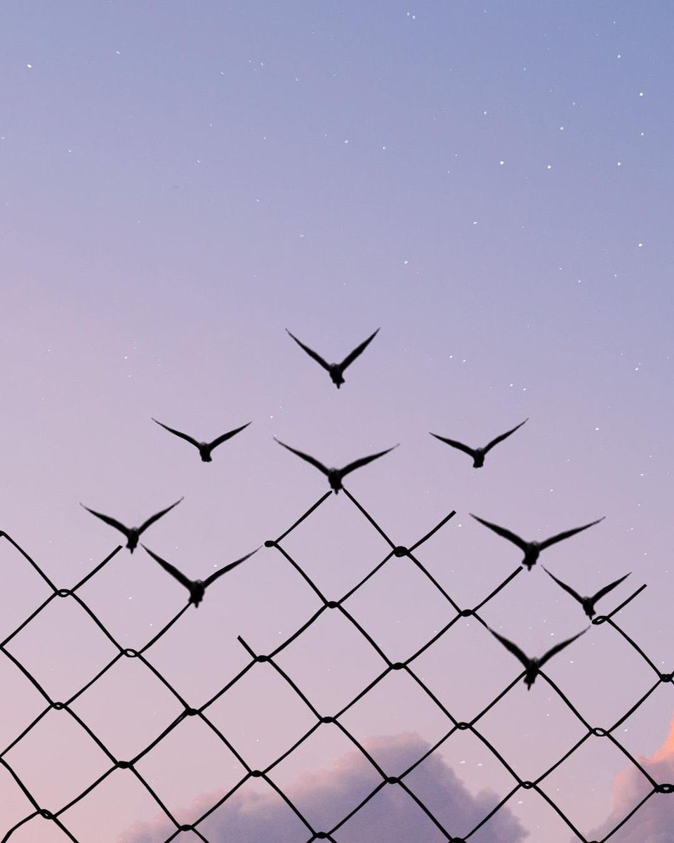 𒐪𒐪𒐪𒐪𒐪⬢4️⃣2️⃣⬢ 𒐪𒐪𒐪𒐪𒐪forty-two 𒐪𒐪𒐪𒐪𒐪 tweet media