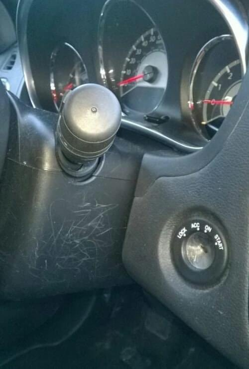 Barking Toad tweet media