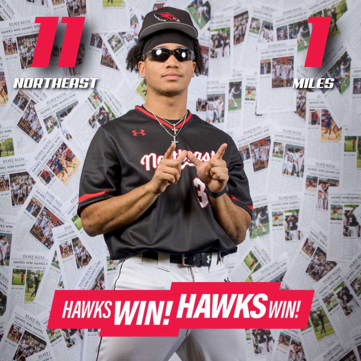Northeast Baseball tweet media
