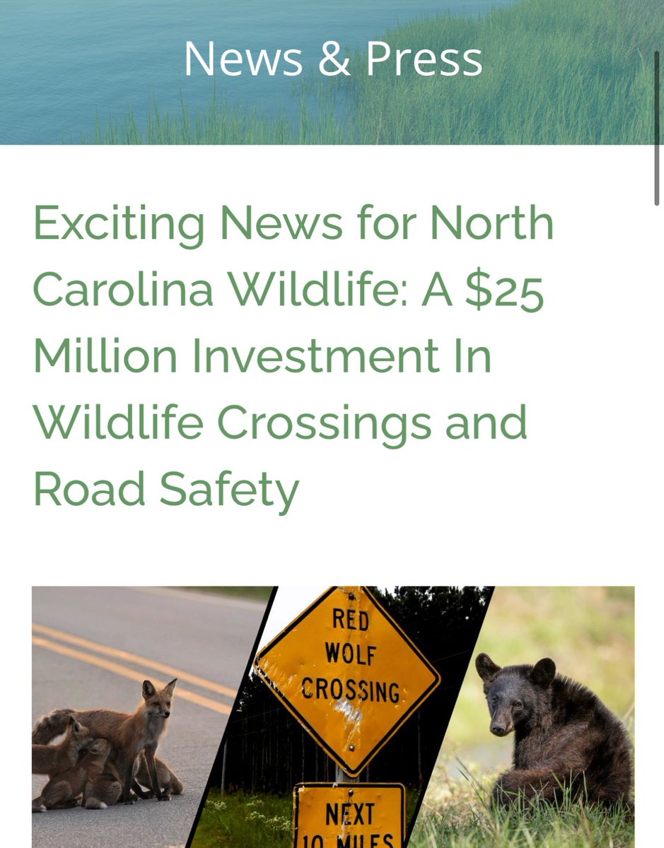 Kane 謝凱堯 tweet media