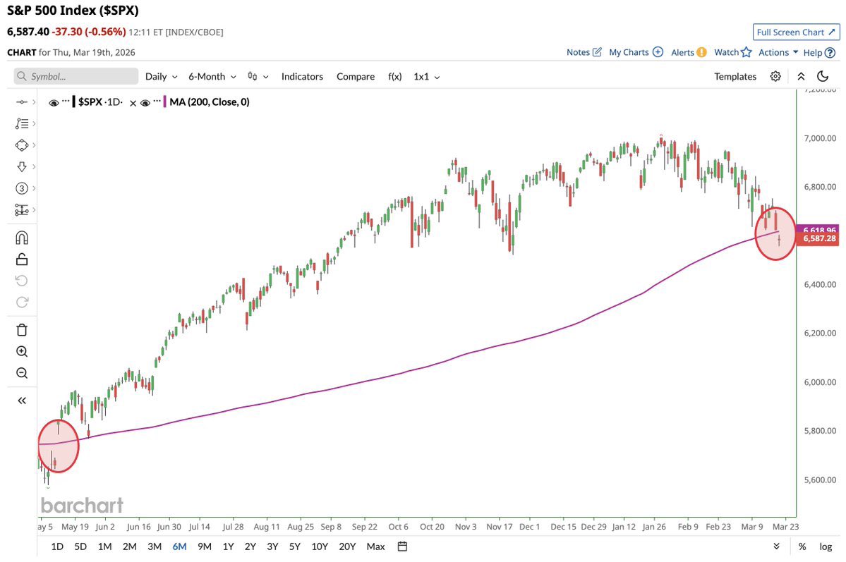 MSB Intel tweet media