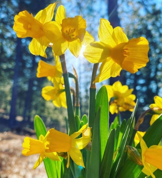 SumStarDust tweet media