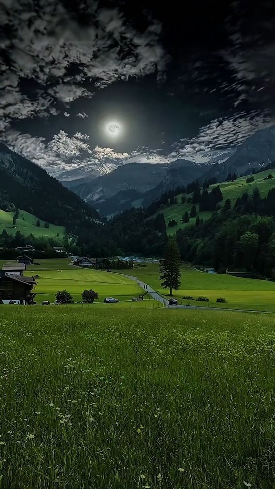 ✯𝓐𝓛𝓘 𝓚𝓗𝓐𝓝 𝓑𝓐𝓝𝓖𝓐𝓢𝓗✯🇵🇰 ⚔️🦌 tweet media