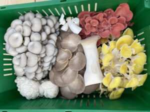 Guy Bower tweet media