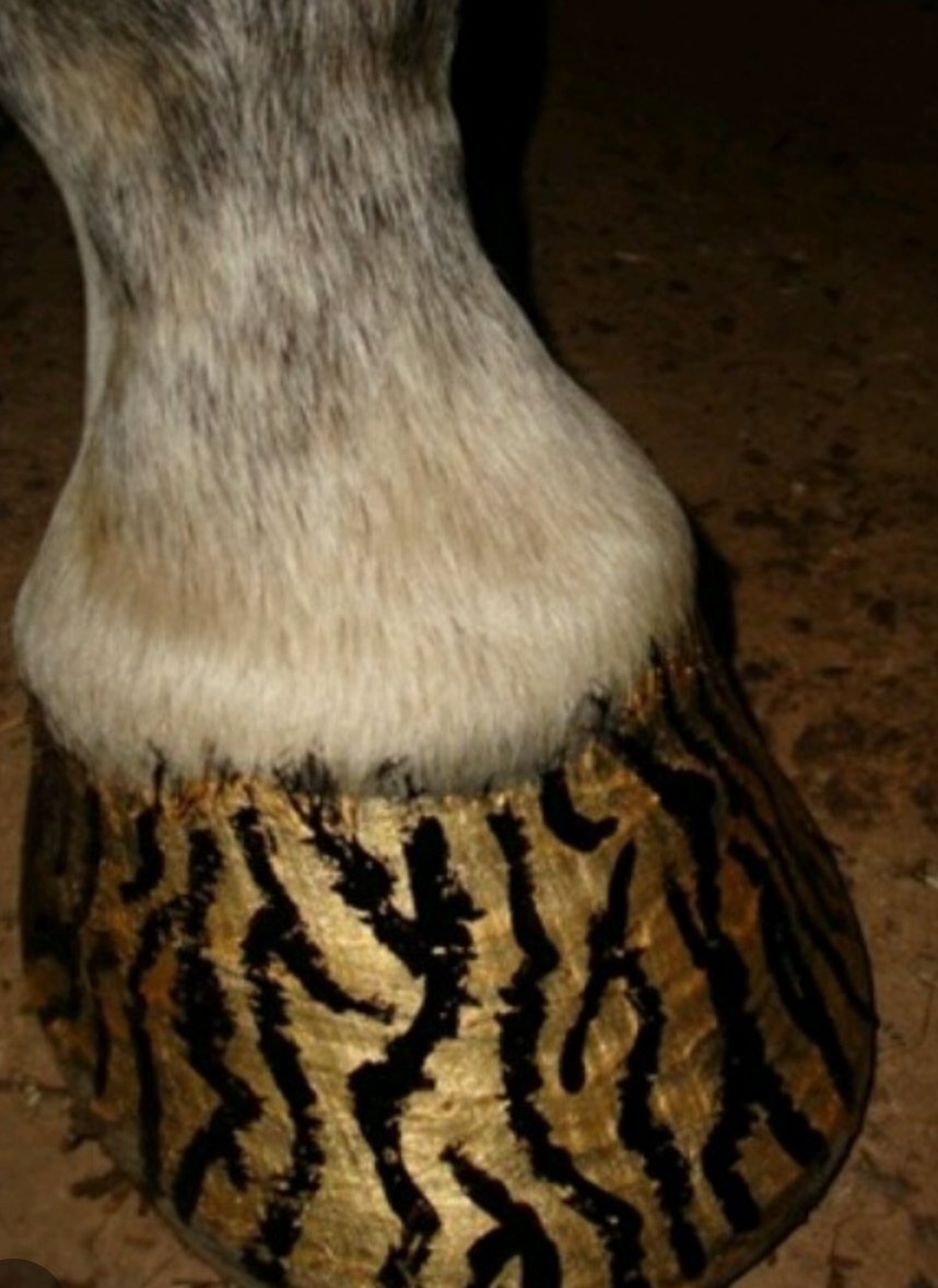 miguelifornia tweet media