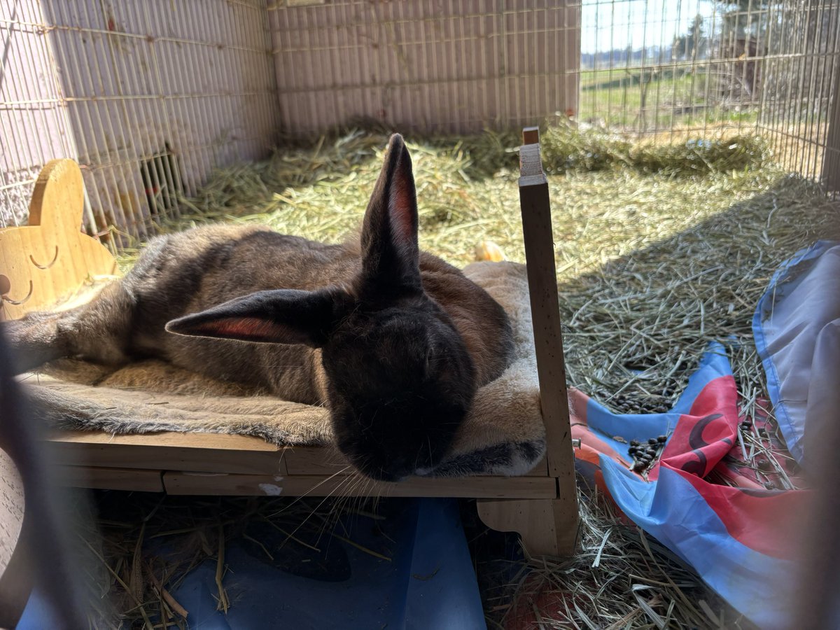 Wilson and friends tweet media