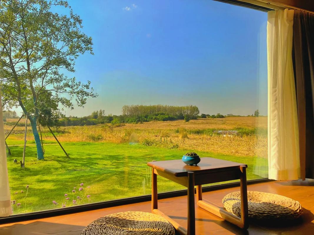 Andrea Reino Webb tweet media