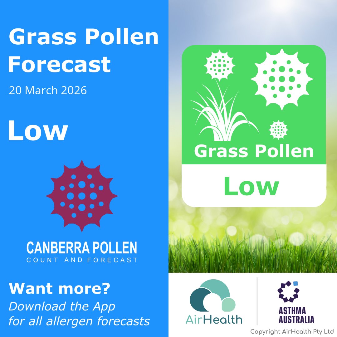 Canberra Pollen tweet media