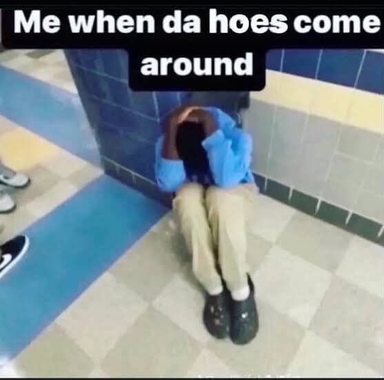 tt🐞🐞🐞 tweet media