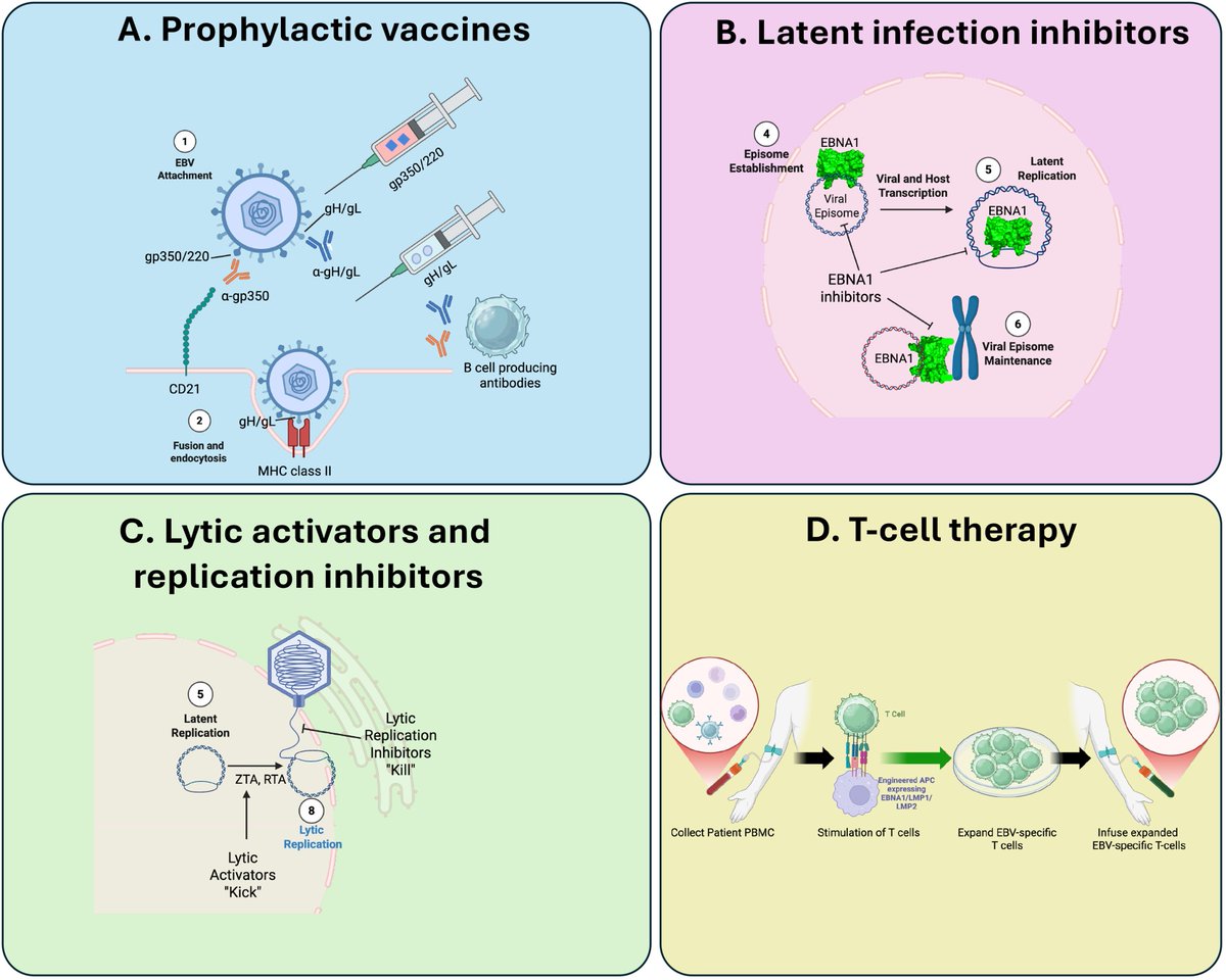 Dr. Brandon Beaber tweet media