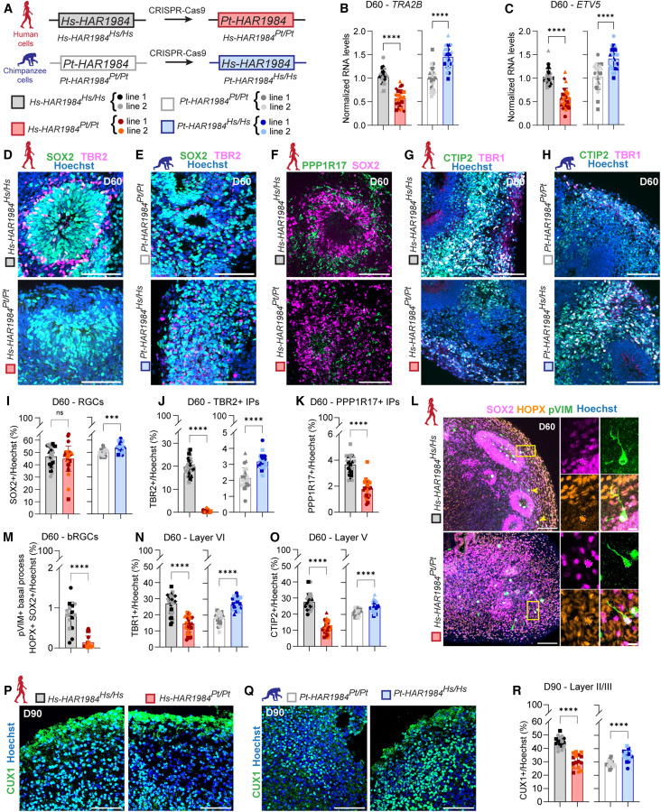 Waggoner Lab tweet media