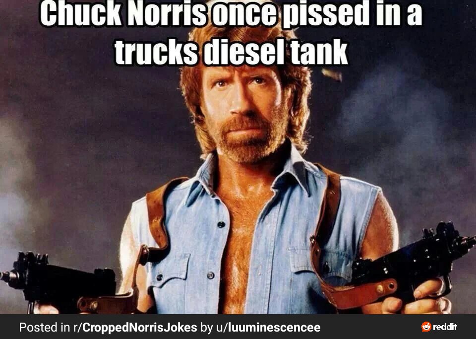 Furry Tim Allen tweet media