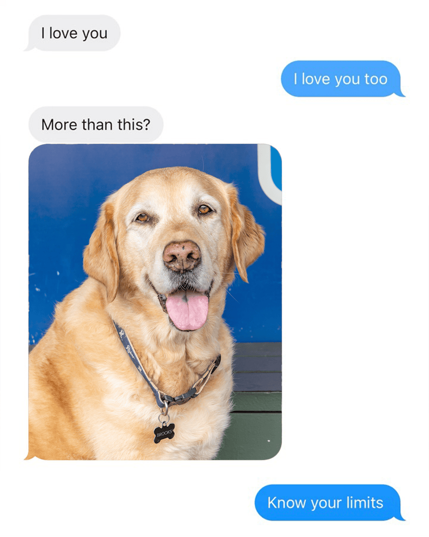 Frisco RoughRiders tweet media