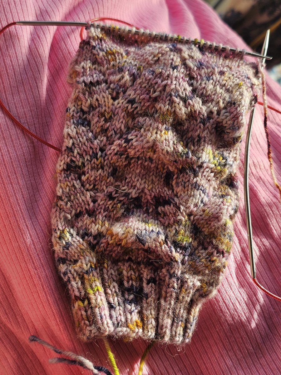 KatieBea tweet media