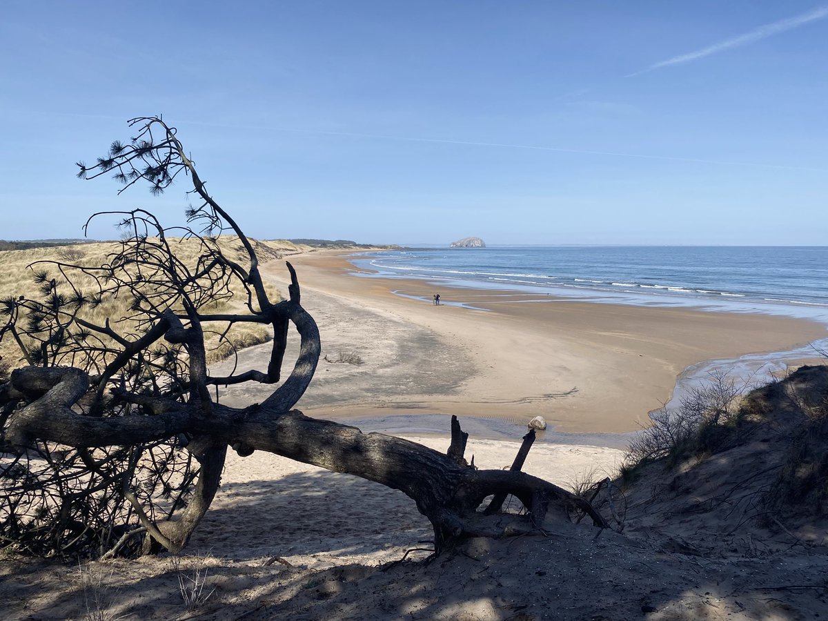 eli spencer ✺✵ tweet media