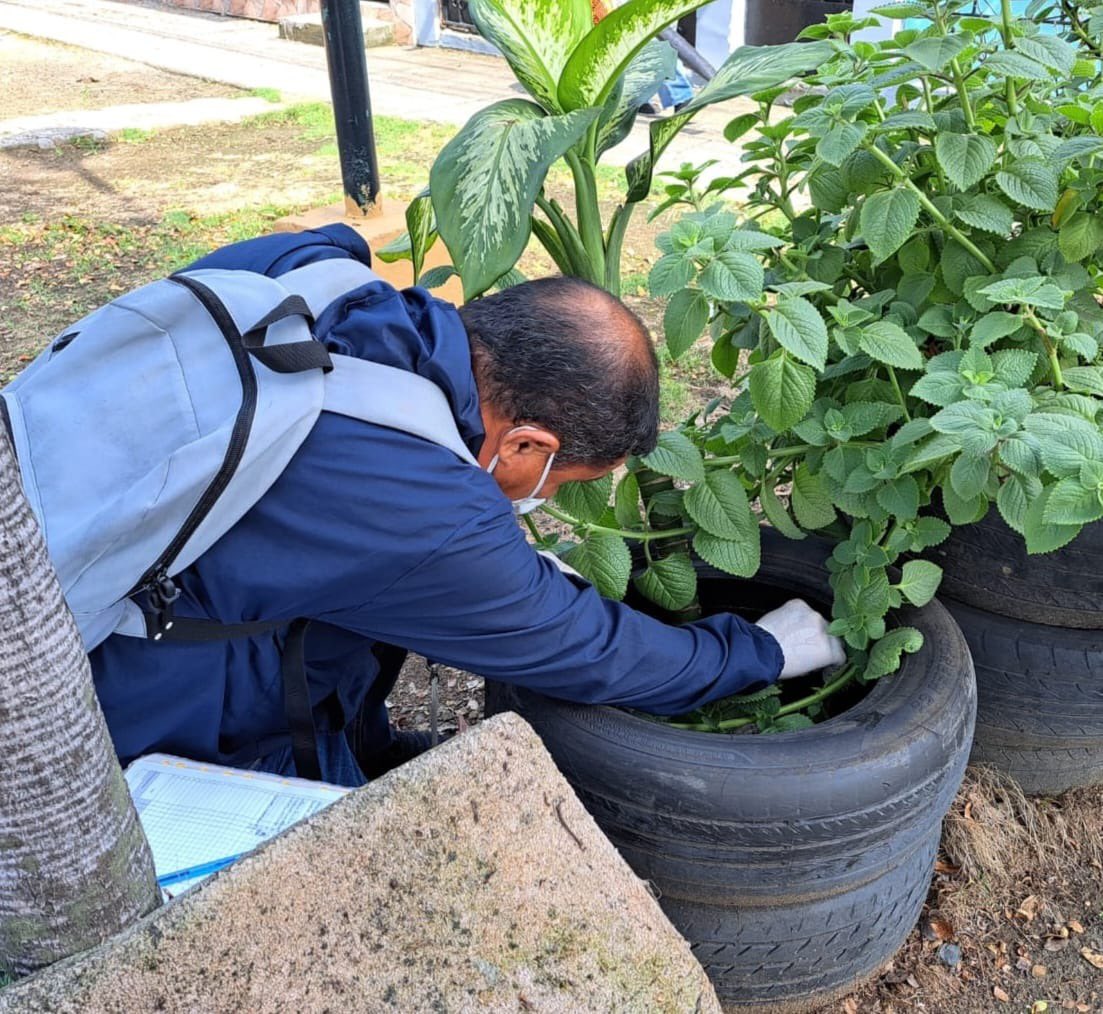 Salud_Guayas's tweet photo. #MSPEnTerritorio | Personal de #ControlVectorial del #Distrito09D04 de @Salud_Ec intervino en el sector #Sauces5, eliminando criaderos de mosquitos y fortaleciendo la prevención de casos febriles durante la temporada invernal. https://t.co/BfpTrPaNSC