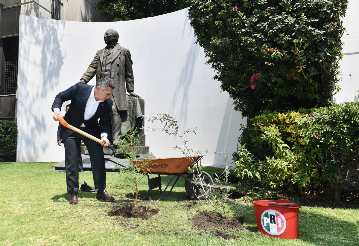 Alejandro Moreno tweet media