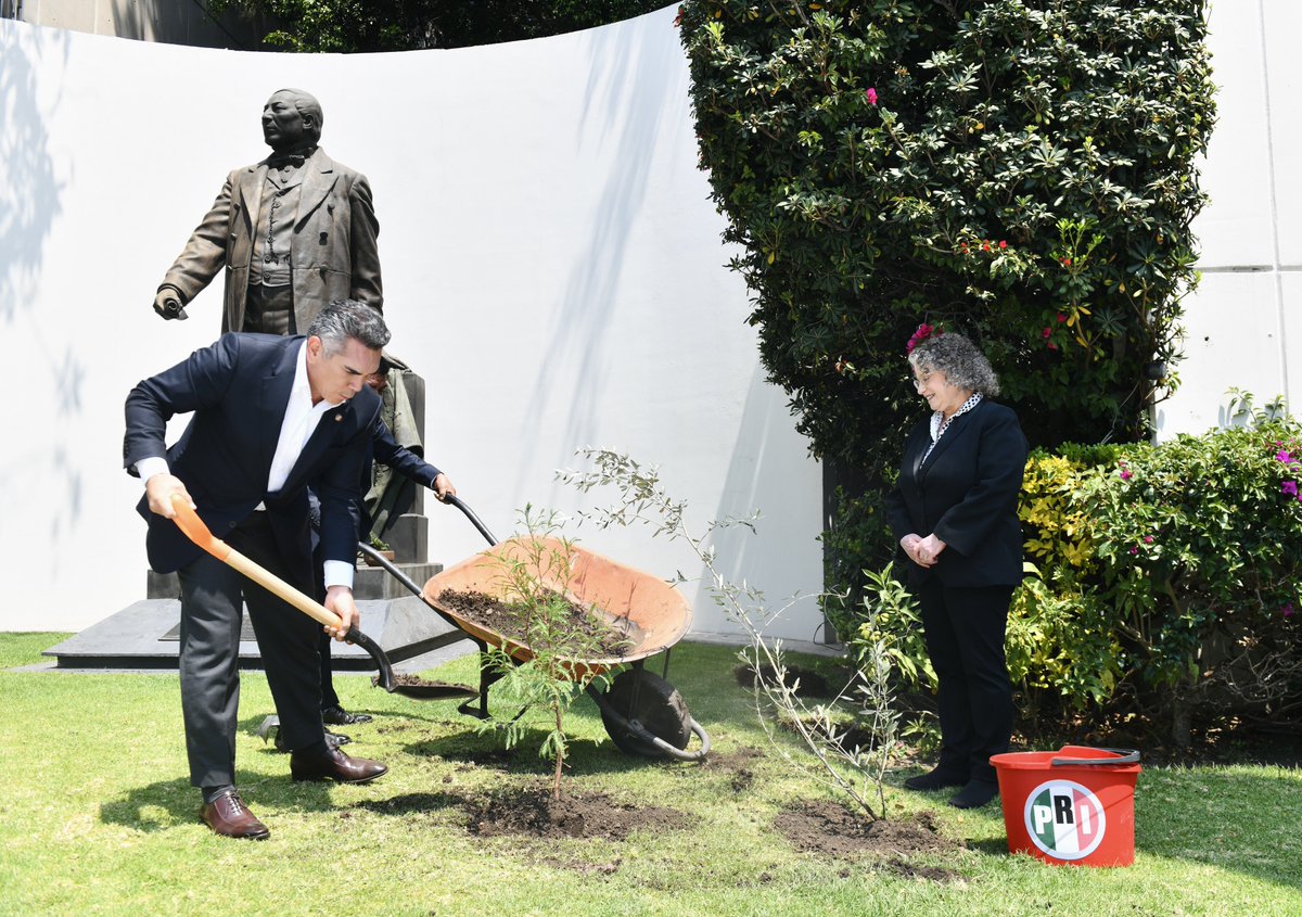 Alejandro Moreno tweet media