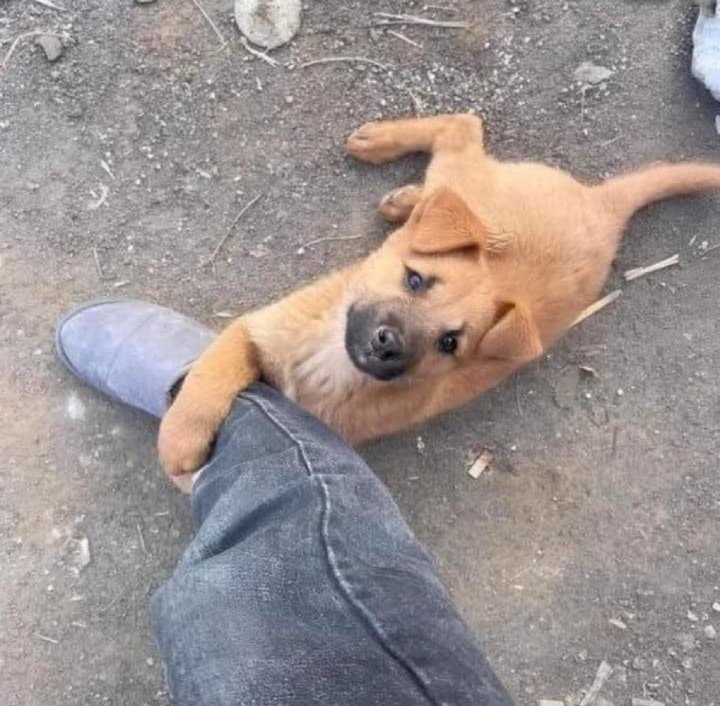 £DDY 🔥 tweet media