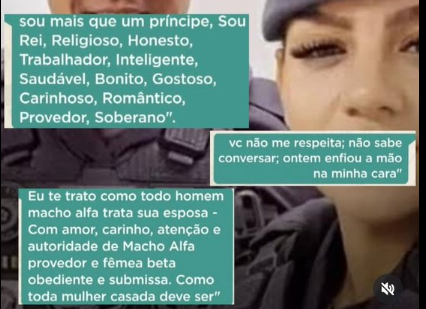 FehFelipe tweet media