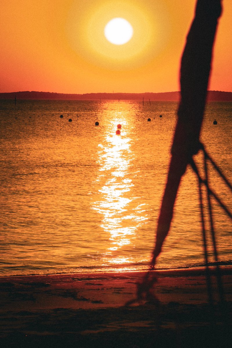 docisa — no #fakemed— tweet media